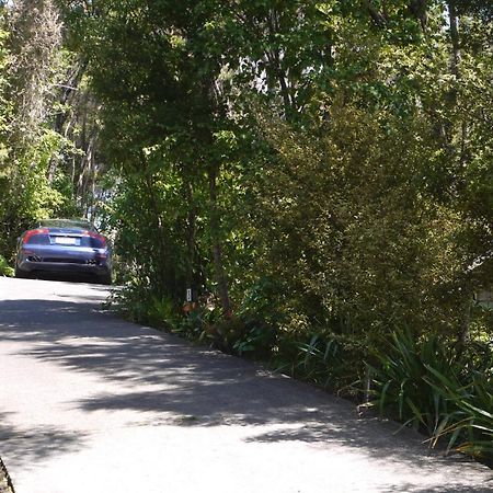 Bay Of Islands Holiday Apartments Paihia Ruang foto