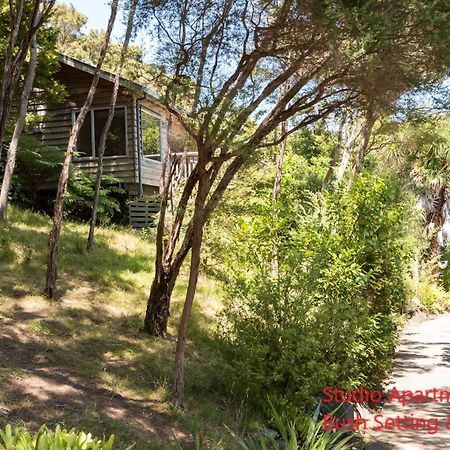 Bay Of Islands Holiday Apartments Paihia Ruang foto