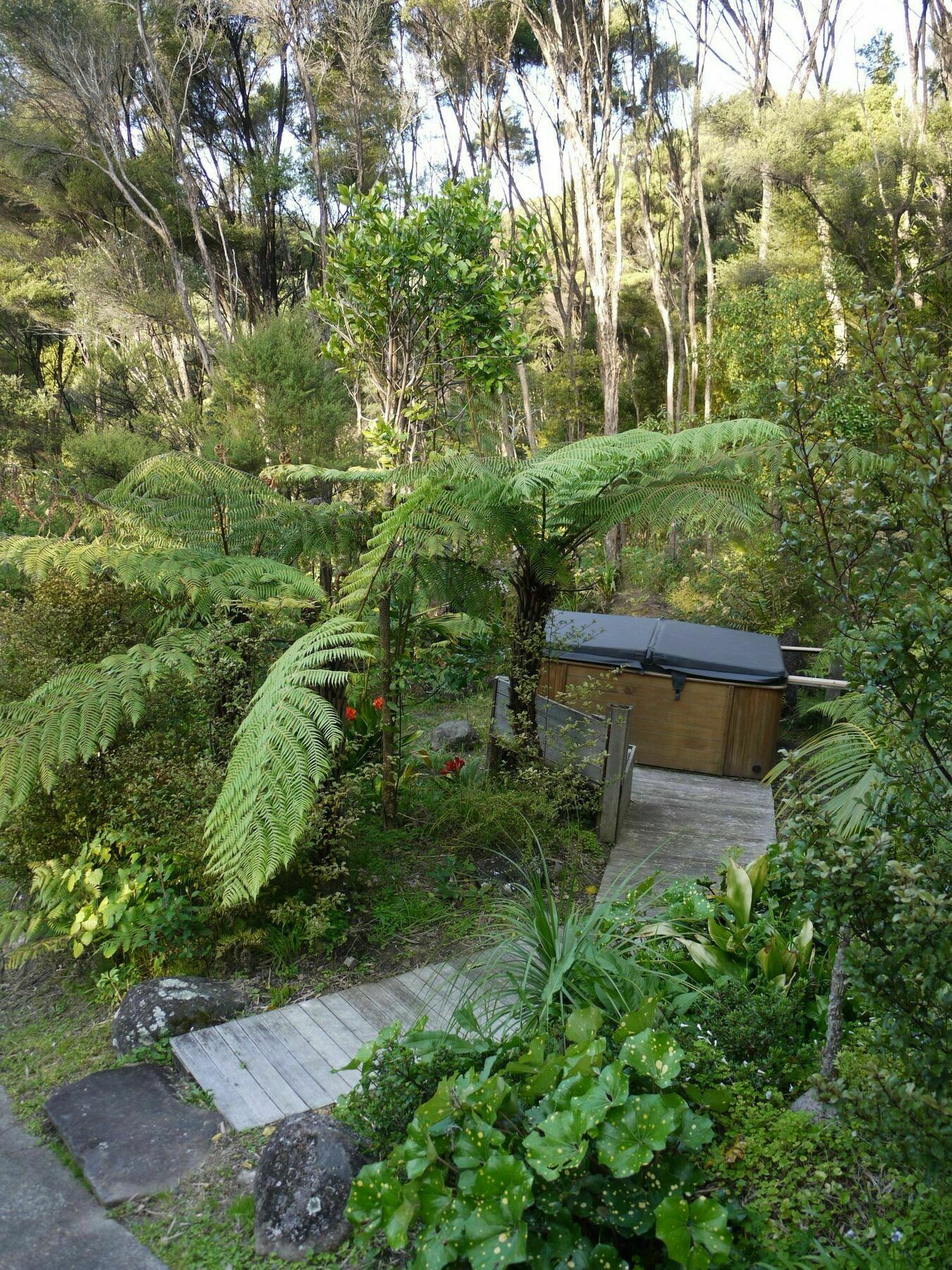 Bay Of Islands Holiday Apartments Paihia Bagian luar foto
