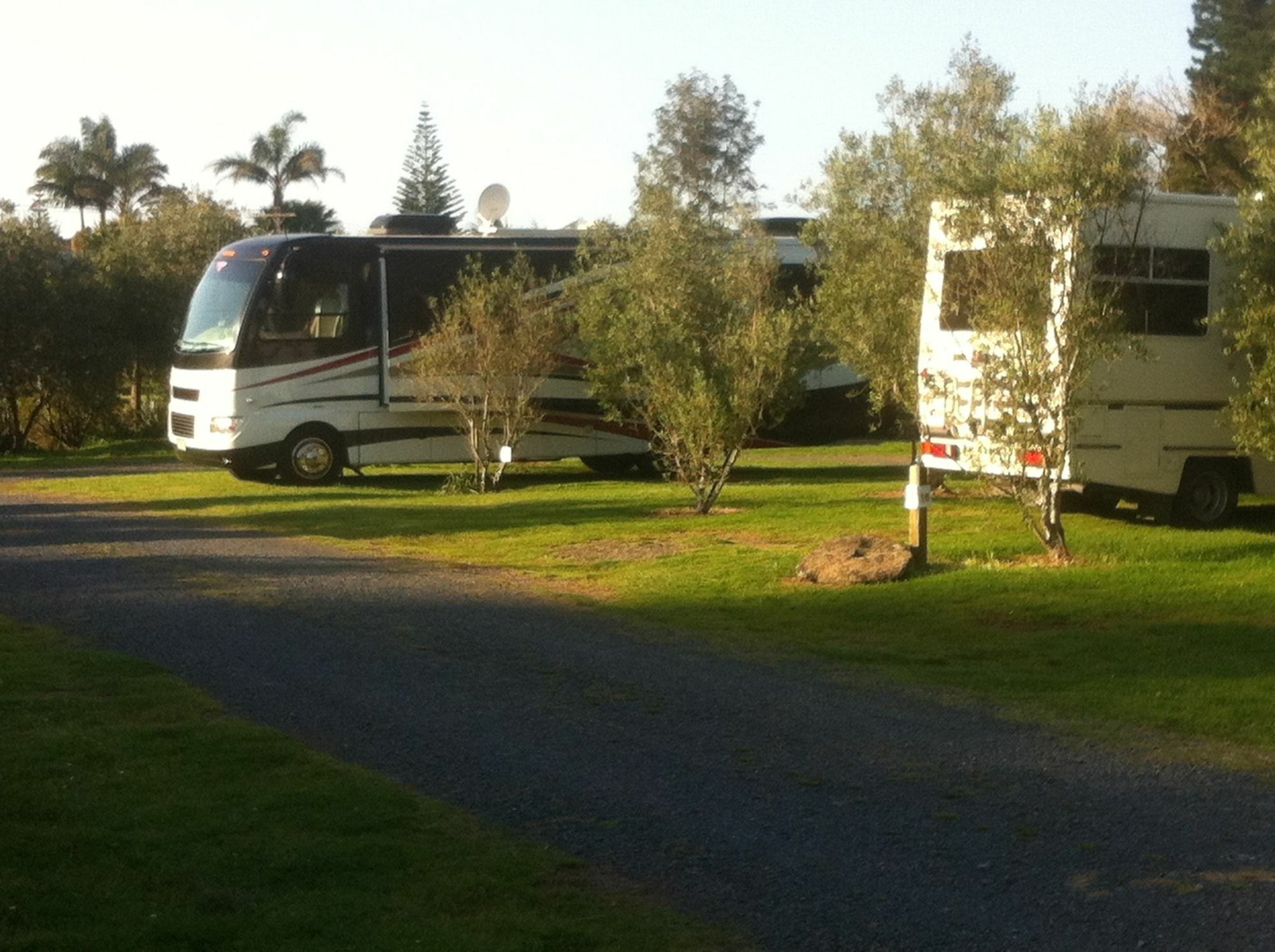 Bay Of Islands Holiday Apartments Paihia Bagian luar foto